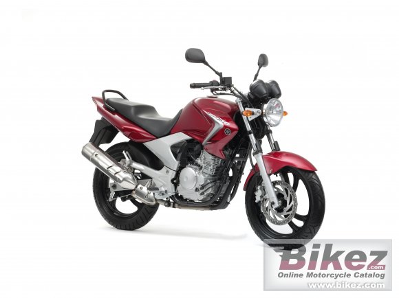 2011 Yamaha YBR250 photo